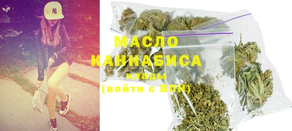 гидра Осинники