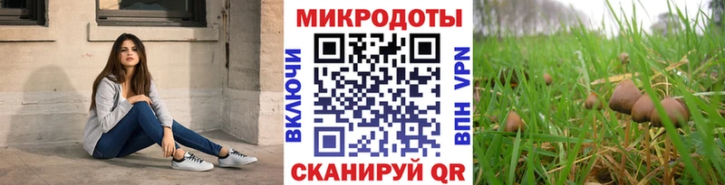 omg как войти Кувшиново Псилоцибиновые грибы Psilocybe