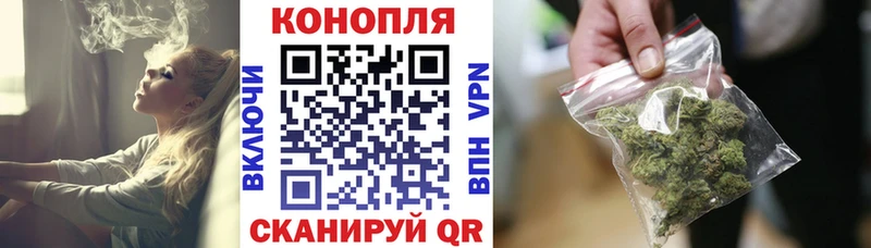 Шишки марихуана SATIVA & INDICA  мориарти наркотические препараты  Кувшиново 
